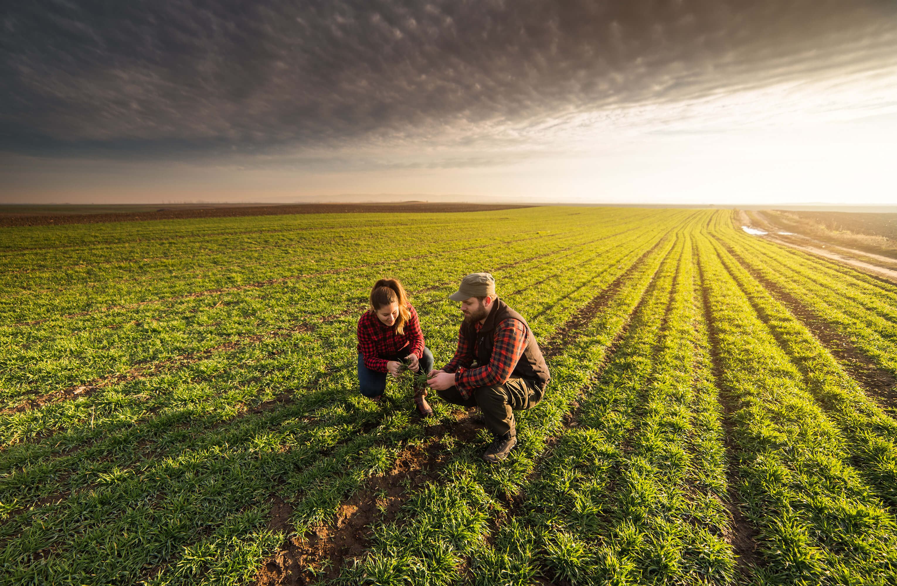 farmers